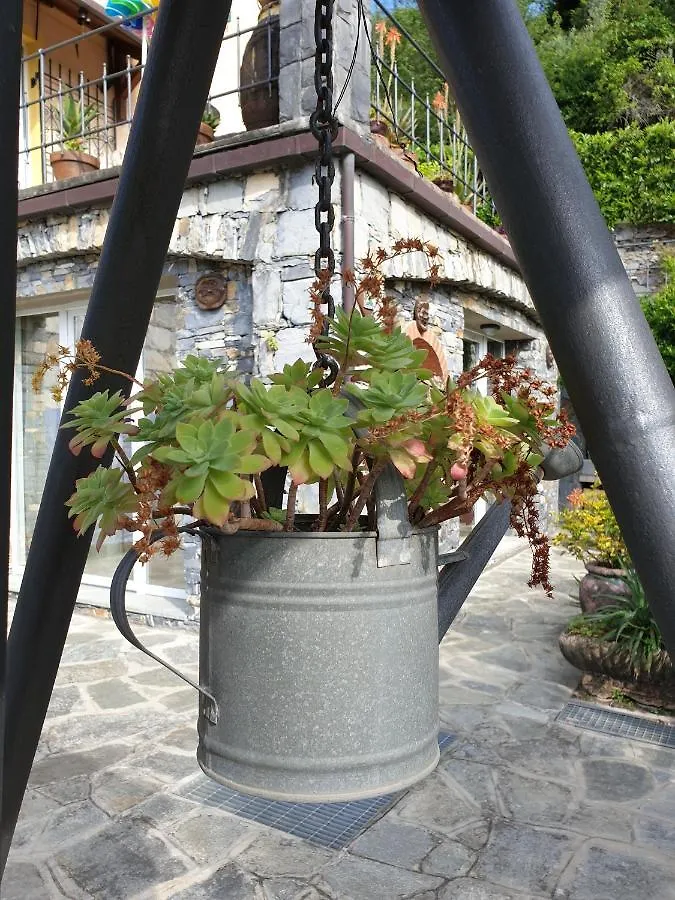 B&B collina e mare Camogli 0*,  Italia