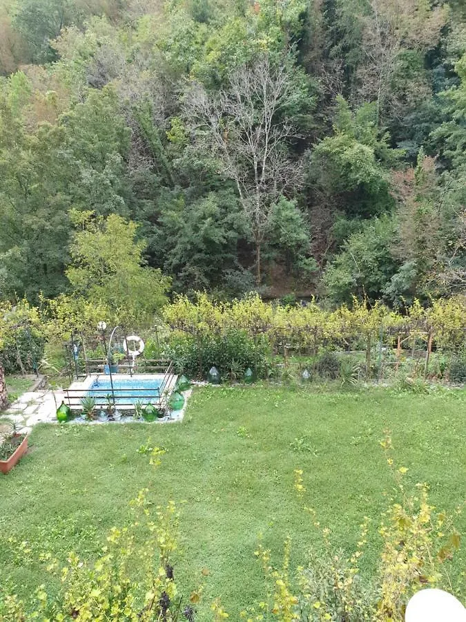 B&B collina e mare Camogli