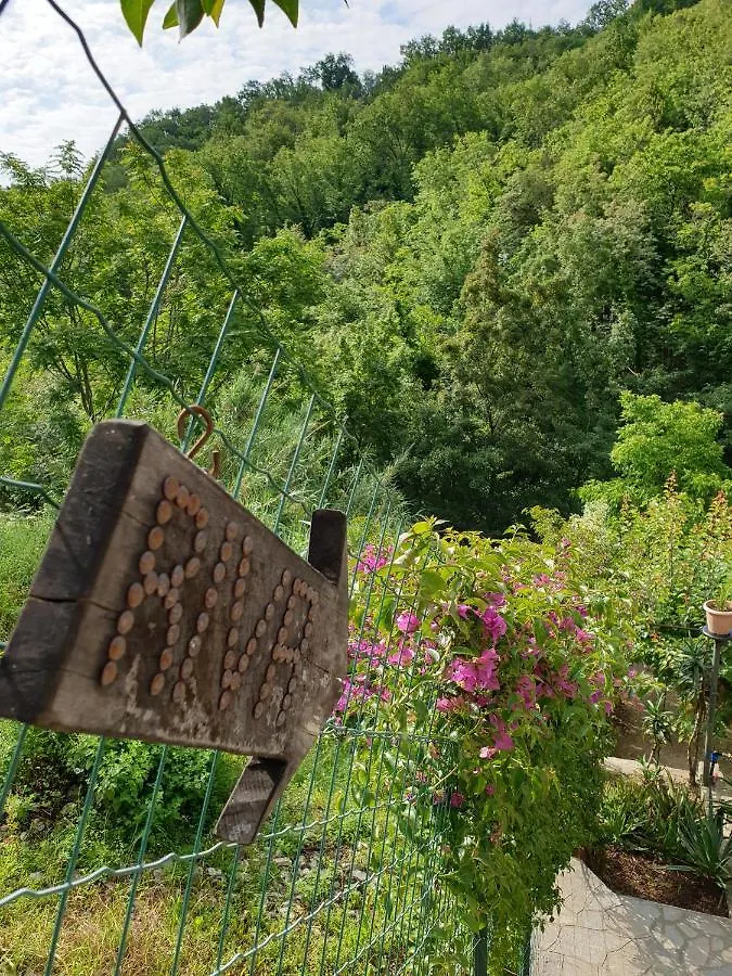 B&B collina e mare Camogli 0*,