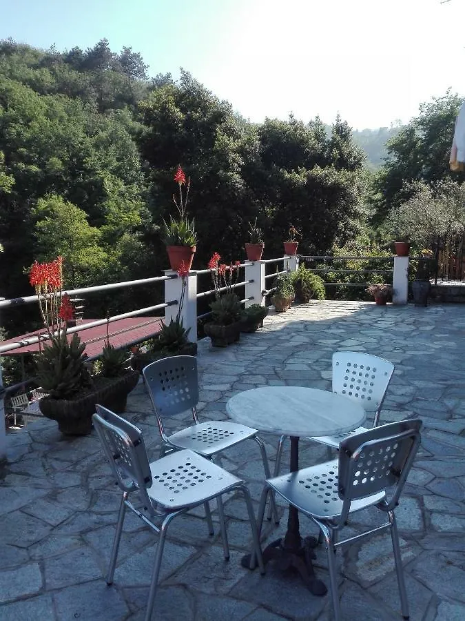 Appartamento B&B collina e mare Camogli